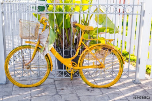 Picture of Vintage Bicycle on summer